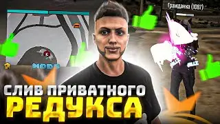Слив приватного REDUX.  GTA 5 RP BURTON