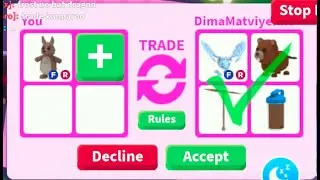 What People Trade for KANGAROO - Roblox Adopt Me!