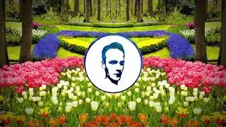 Mesto - Slam
