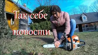 Сено НЕ привезли. Жизнь на Лесном Хуторе.