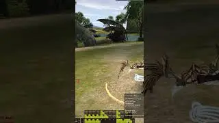 Лук кайф но 