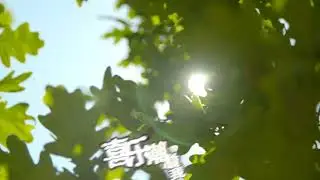 20230324诗班献唱《自耶稣住在我心》