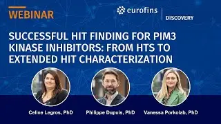 Successful Hit Finding for PIM3 Kinase Inhibitors: From HTS to Extended Hit Characterization