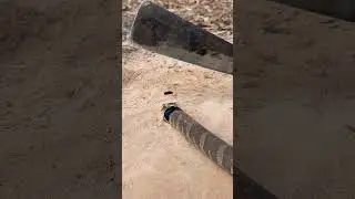 Simple Easy Snake Trap using Knife & hole#buildsnaketrap