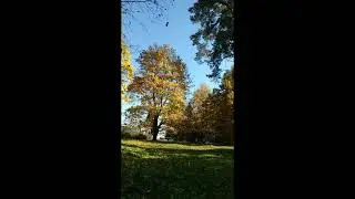 Золотая Осень в Мураново.