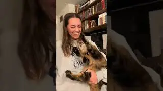 У кого собака, кот, тот очень весело живет!!!