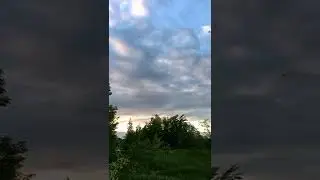 Охота на косулю на электросамокате