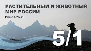 5/1 Растительный и животный мир России