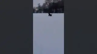 ❄️ прогулки на морозе#ротвейлер #shorts #собака #любовь