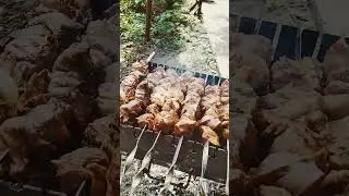отдых шашлыки .