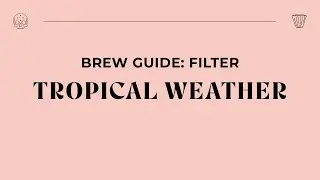 Brew Guide - Tropical Weather Filter