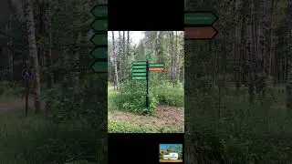 Тень пролетающей птицы авт. исп. Коников Михаил
