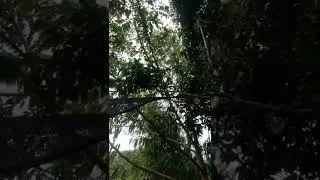 istirahat dulu di sembalun bumbung menikmati pecel yang kita beli tadi di suela 