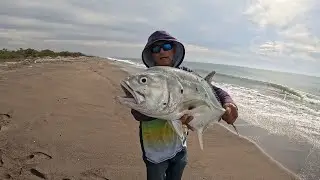 How to Fish on the Beach