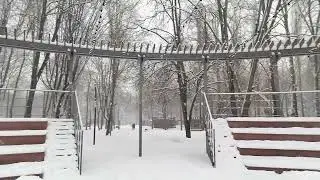 Зимним, снежным днем. Прогулка в парке.