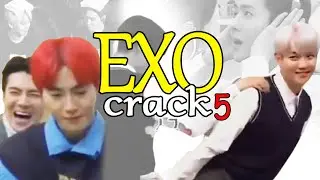 EXO Crack BR #5