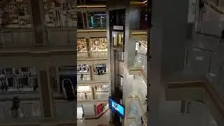 Панорамный лифт в открытой шахте/Panoramic elevator in an open shaft