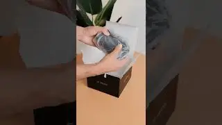 Fujifilm XH2s Unboxing