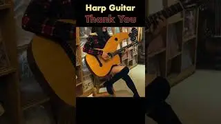 Thank You (Dido) on a Harp Guitar