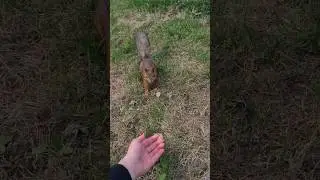 Мой 
