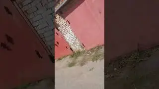 сумашедший дед легенда 