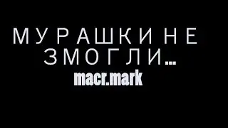 Мурашки не змогли... macr.mark