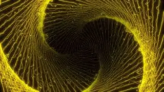 Abstract Video Background