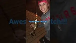 Catching GIANT FRESH COD and FROST FISH at the beautiful Quidi Vidi Village