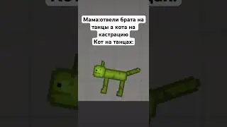 Кот на танцах#мем#жиза#melonplaygroud#мишкашумербер