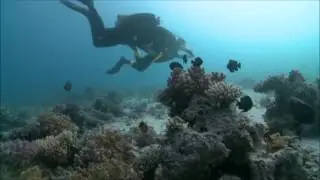 Фильм 6 Дайвинг сафари яхта Тала The Barge & Siyul - Global island Съемка камерой GoPro Hero 3+
