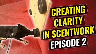 Creating Clarity in Scentwork Episode 2