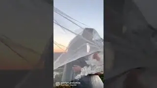 Falling In Love