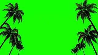 Palm Tree Green Screen Chroma Key Background