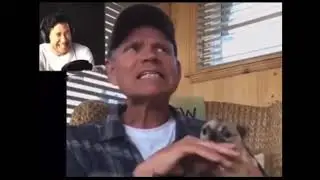 Прикол Ржач