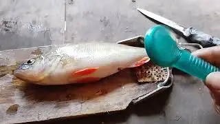 приспособа для чистки рыбы