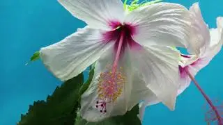 Beautiful love and romantic piano music for relaxation