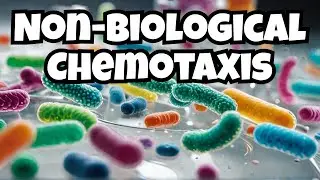 From Passive Nanoparticles to Living Matter: Non-Biological Chemotaxis