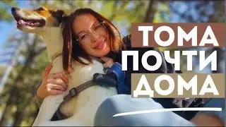 Снова начало новой жизни || О чем будет этот канал
