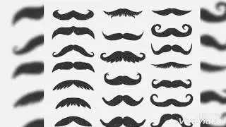 Bigode Vintage