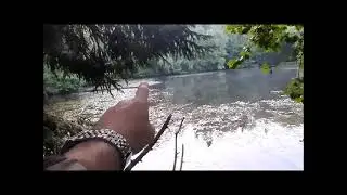 Моё открытие на утку.  Август 23г