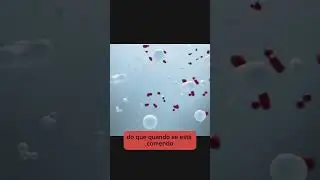 Jejum de 72 horas