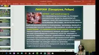 Разоблачение! Что есть в составе Елев8 & Акселлер?