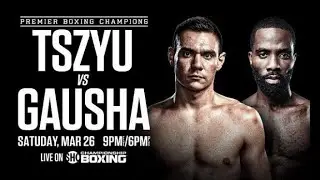 Tim Tszyu VS Terrell Gausha FIGHT NIGHT CHAMPION