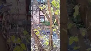 #маразмросиии #обманутыйроссиянин #ветхоежилье #иваново