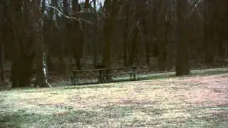 Canon HV20 HD test