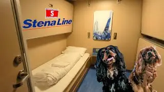 STENA ESTRID PET FRIENDLY CABIN DUBLIN TO HOLYHEAD