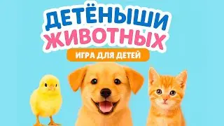 Кто чей малыш? | Песенка про животных для малышей 2–5 лет
