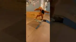Scooby doo hits a Kickflip!  #shorts