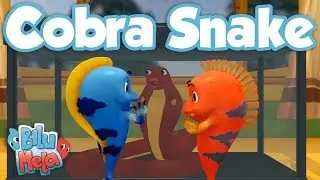 Bilu Mela - Cobra Snake