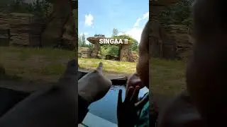 hewan apa itu di 